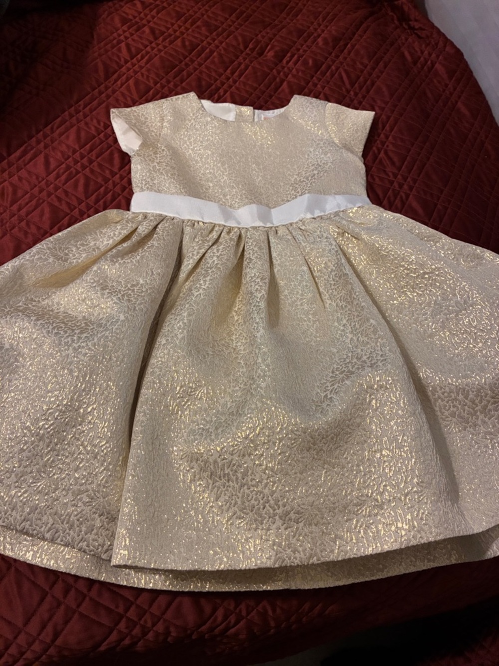 Gymboree Girls Shimmery Gold Dress